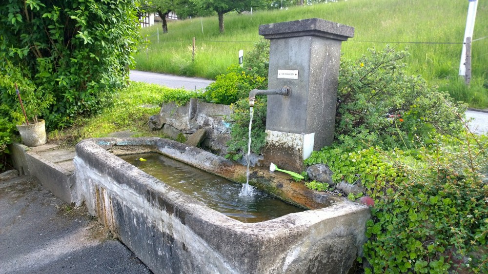 WP_20150531_17_56_23_Pro