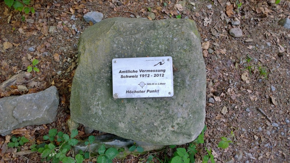 WP_20150531_18_39_17_Pro