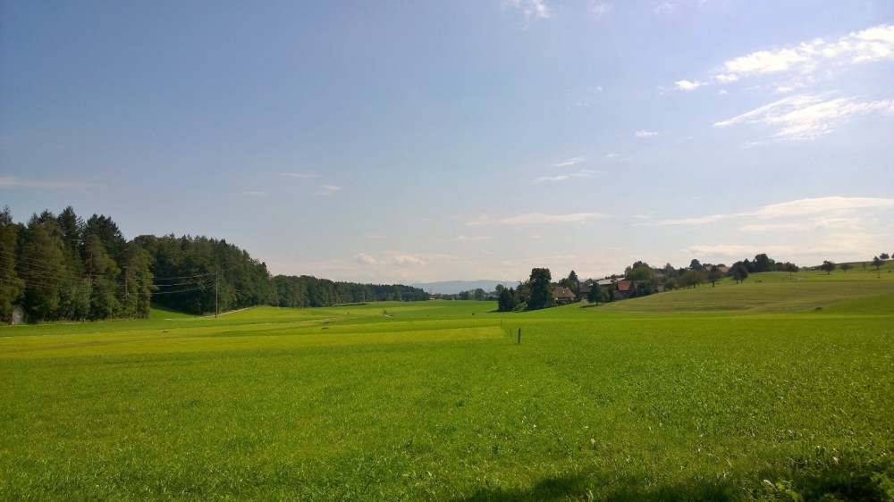 WP_20150911_14_24_27_Pro